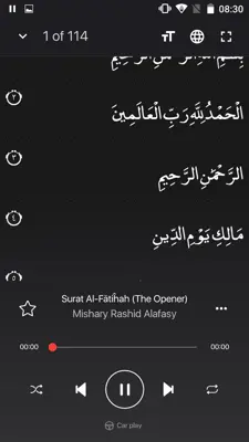 Quran Pro Read, Listen, Learn android App screenshot 4